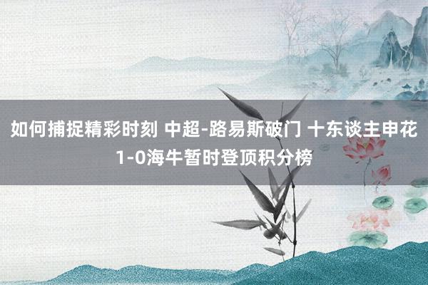 如何捕捉精彩时刻 中超-路易斯破门 十东谈主申花1-0海牛暂时登顶积分榜