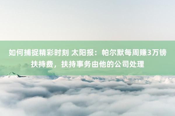 如何捕捉精彩时刻 太阳报：帕尔默每周赚3万镑扶持费，扶持事务由他的公司处理