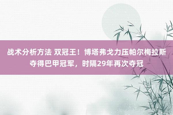 战术分析方法 双冠王！博塔弗戈力压帕尔梅拉斯夺得巴甲冠军，时隔29年再次夺冠