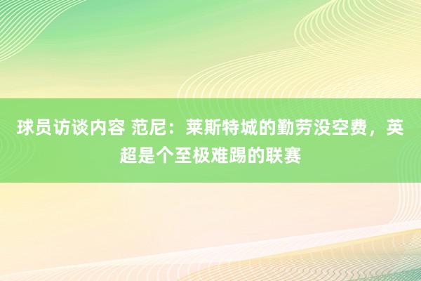 球员访谈内容 范尼：莱斯特城的勤劳没空费，英超是个至极难踢的联赛